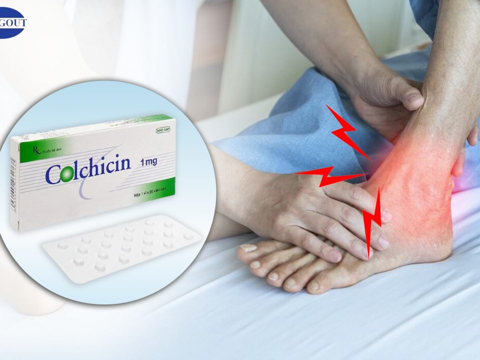 Tác dụng của Colchicin trong điều trị bệnh gout