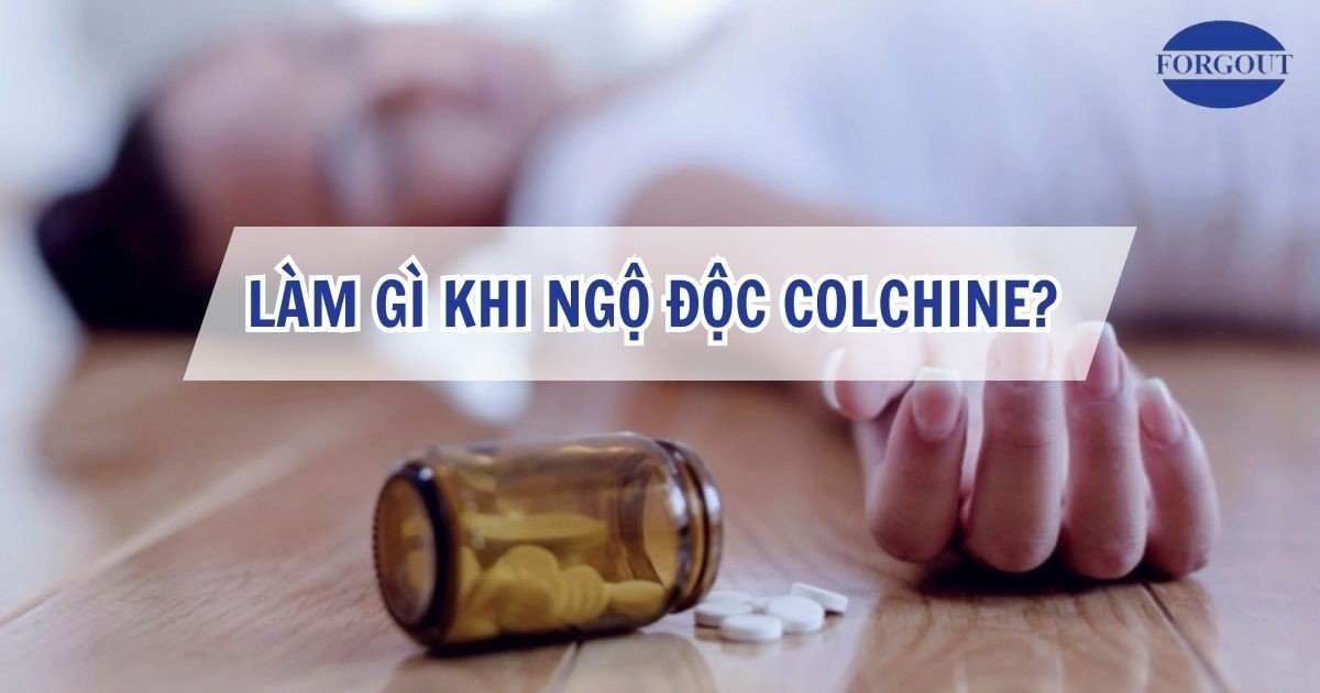 Làm gì khi ngộ độc Colchicine