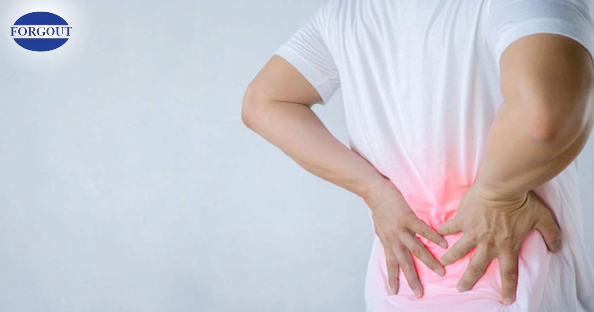 Triệu chứng đau lưng do axit uric cao có thể bắt nguồn từ sự hình thành sỏi thận